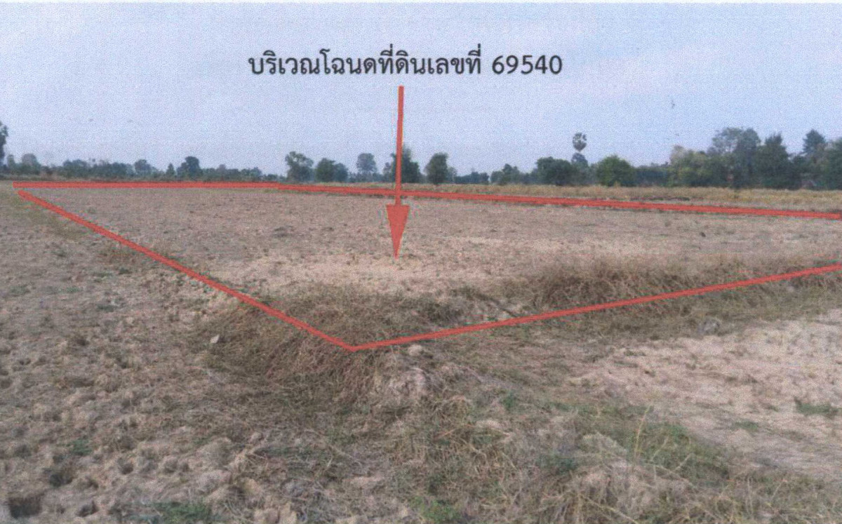 ที่ดินเปล่า นครราชสีมา ปักธงชัย สะแกราช 60200