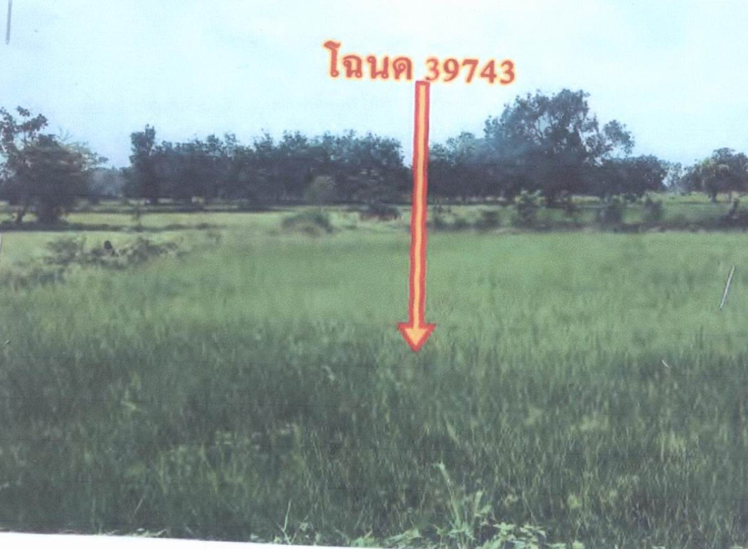 Residential land/lot Ubon Ratchathani Muang Sam Sip Nong Mueang 368400