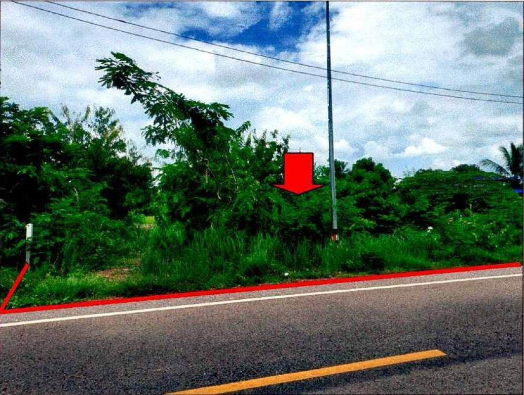 ที่ดินเปล่า หนองคาย สระใคร คอกช้าง 347600