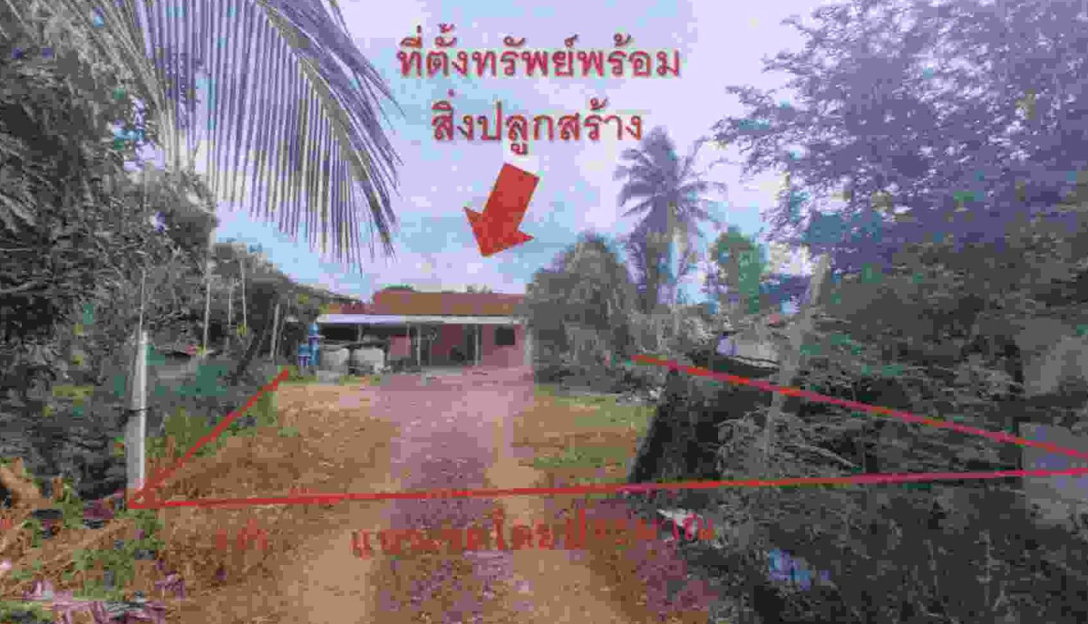 บ้านเดี่ยว นครราชสีมา ปักธงชัย ธงชัยเหนือ 558930