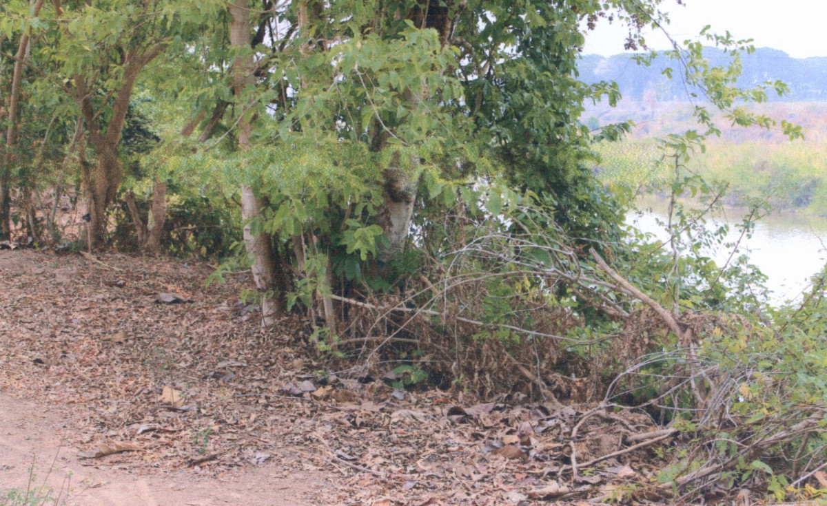 Residential land/lot Phrae Mueang Phrae Tha Kham 306000