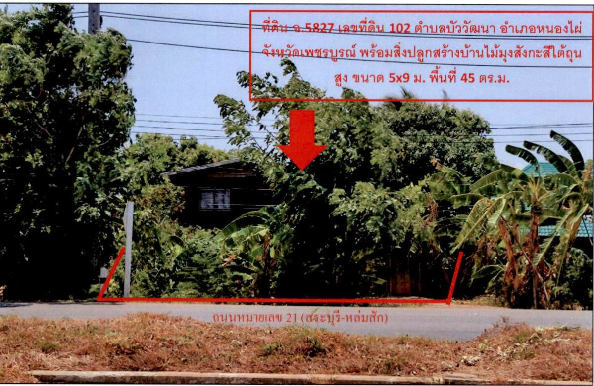 บ้านเดี่ยว เพชรบูรณ์ หนองไผ่ บัววัฒนา 268375