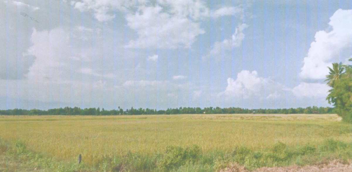 Residential land/lot Phetchabun Lom Sak Ban Wai 99925