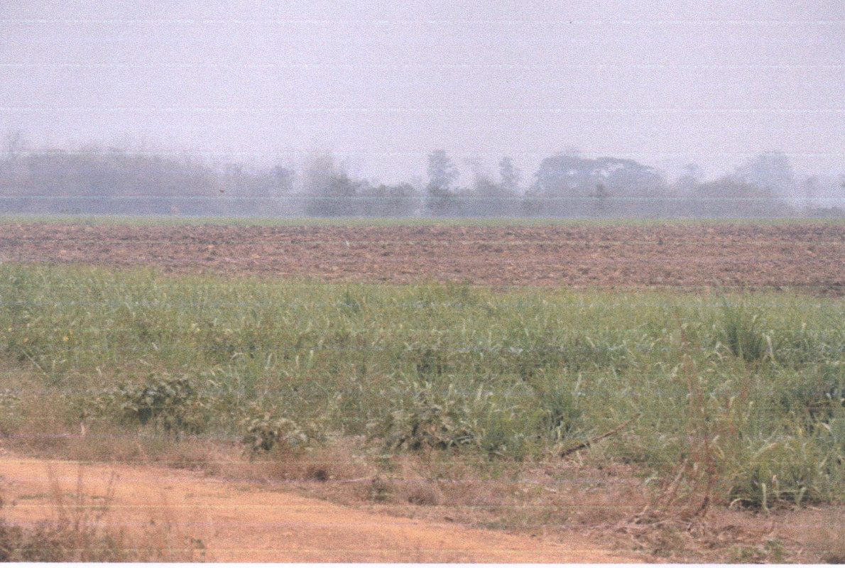 ที่ดินเปล่า แพร่ เมืองแพร่ เหมืองหม้อ 70200