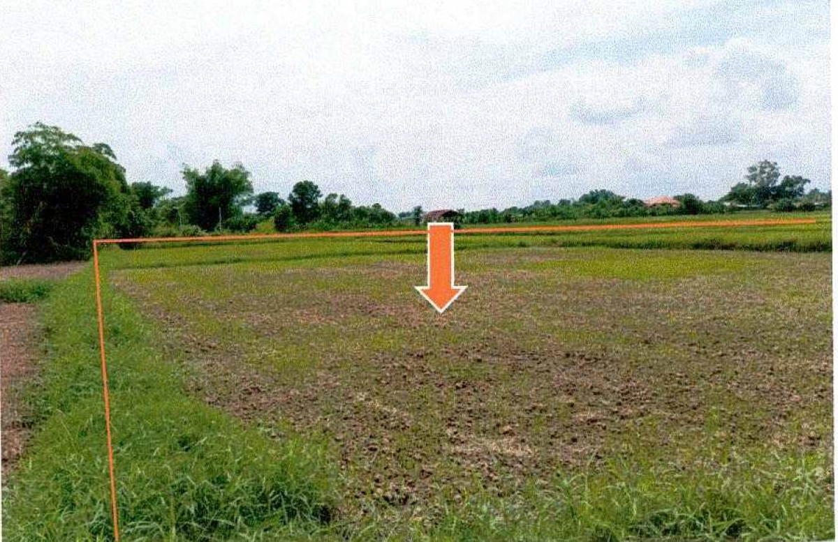 ที่ดินเปล่า หนองคาย เมืองหนองคาย กวนวัน 1560000