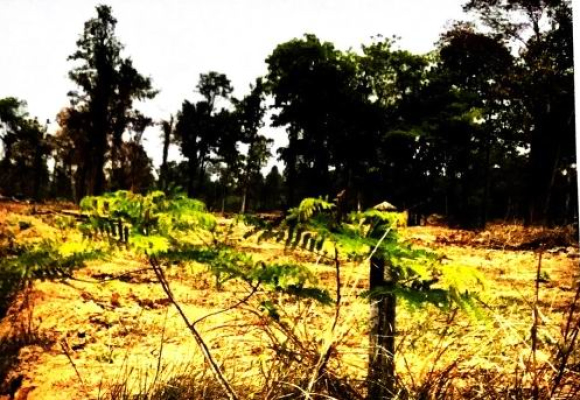 ที่ดินเปล่า หนองคาย เมืองหนองคาย ค่ายบกหวาน 1182000