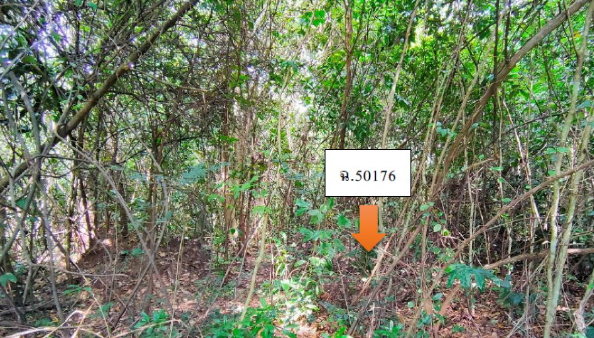 Residential land/lot Ubon Ratchathani Mueang Ubon Ratchathani Pa-Ao 404560