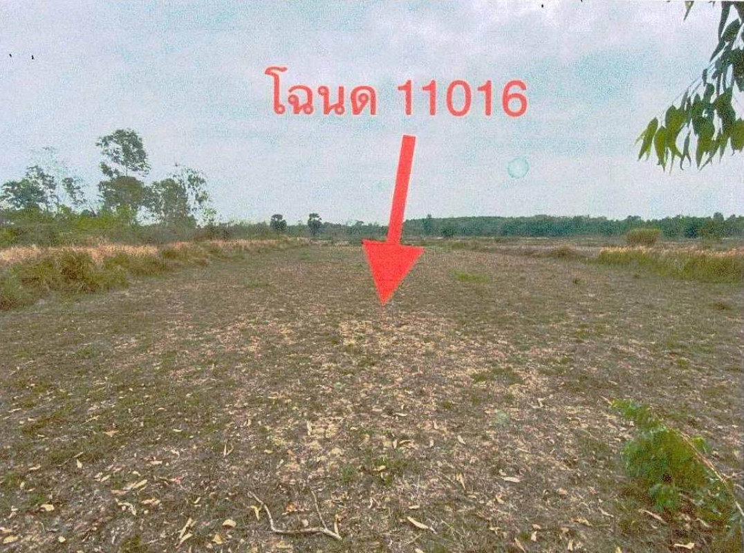 ที่ดินเปล่า หนองคาย รัตนวาปี พระบาทนาสิงห์ 182800