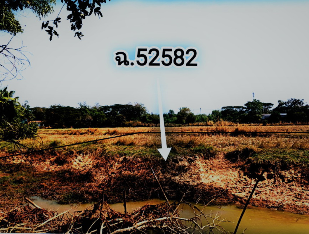 ที่ดินเปล่า อุบลราชธานี ม่วงสามสิบ ม่วงสามสิบ 255024