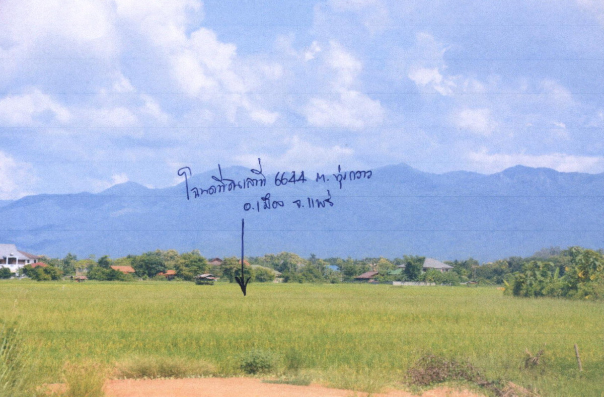ที่ดินเปล่า แพร่ เมืองแพร่ ทุ่งกวาว 294000