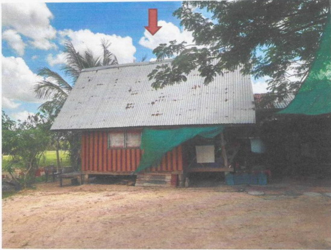 บ้านเดี่ยว อุบลราชธานี เหล่าเสือโก้ก เหล่าเสือโก้ก 1203268