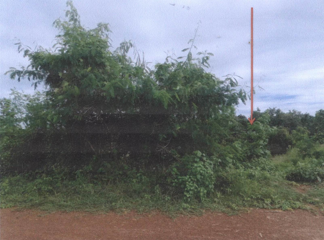 ที่ดินเปล่า หนองคาย เมืองหนองคาย โพธิ์ชัย 957125
