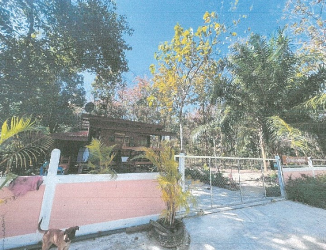 บ้านเดี่ยว สกลนคร เต่างอย เต่างอย 794150