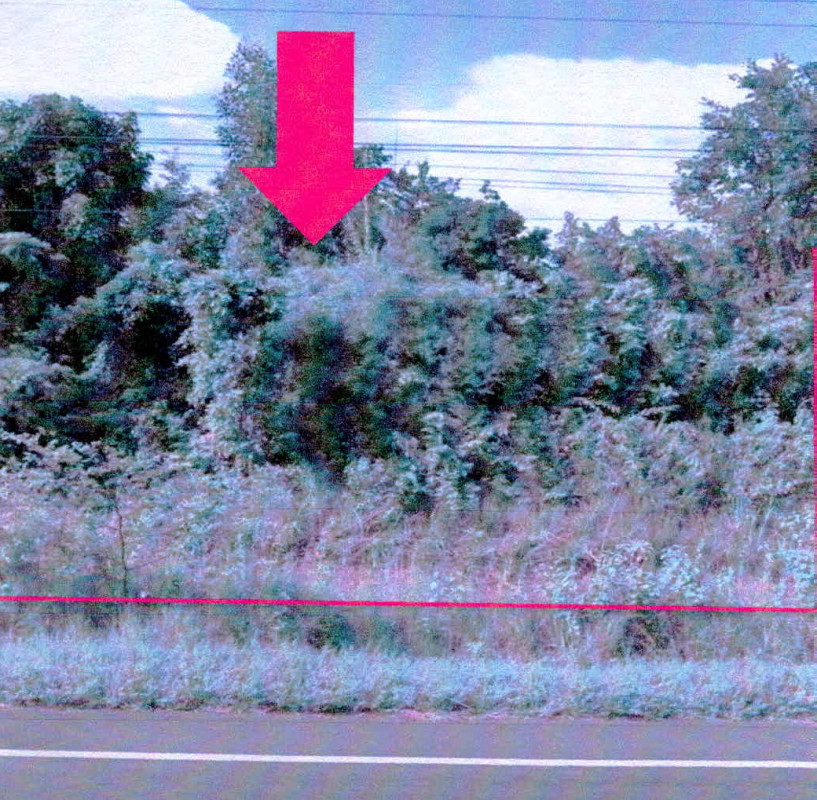 ที่ดินเปล่า อำนาจเจริญ พนา พนา 349650