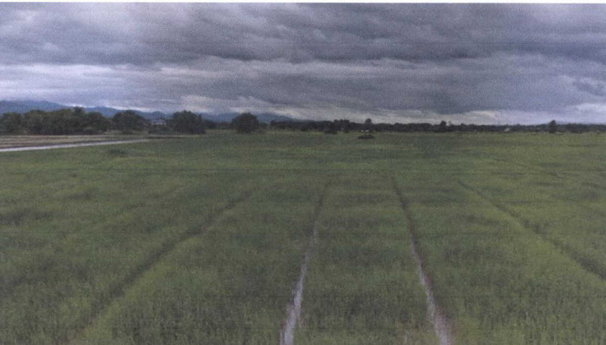 ที่ดินเปล่า แพร่ เมืองแพร่ ทุ่งกวาว 91350