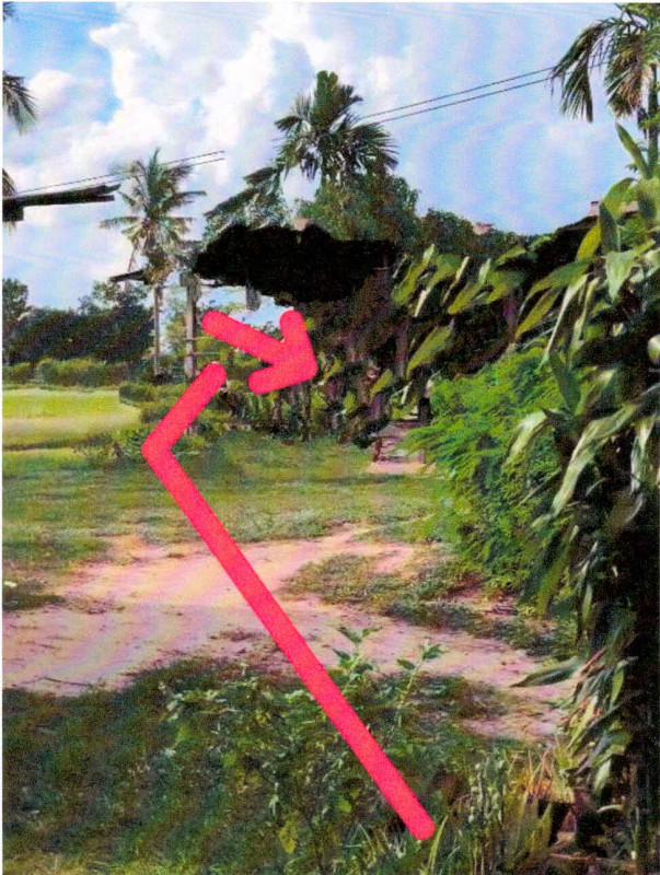 ที่ดินเปล่า ศรีสะเกษ อุทุมพรพิสัย ขะยูง 74550