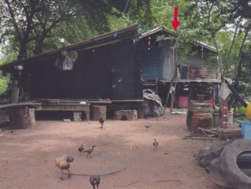 Single house Nakhon Ratchasima Bua Yai Nong Chaeng Yai 373970