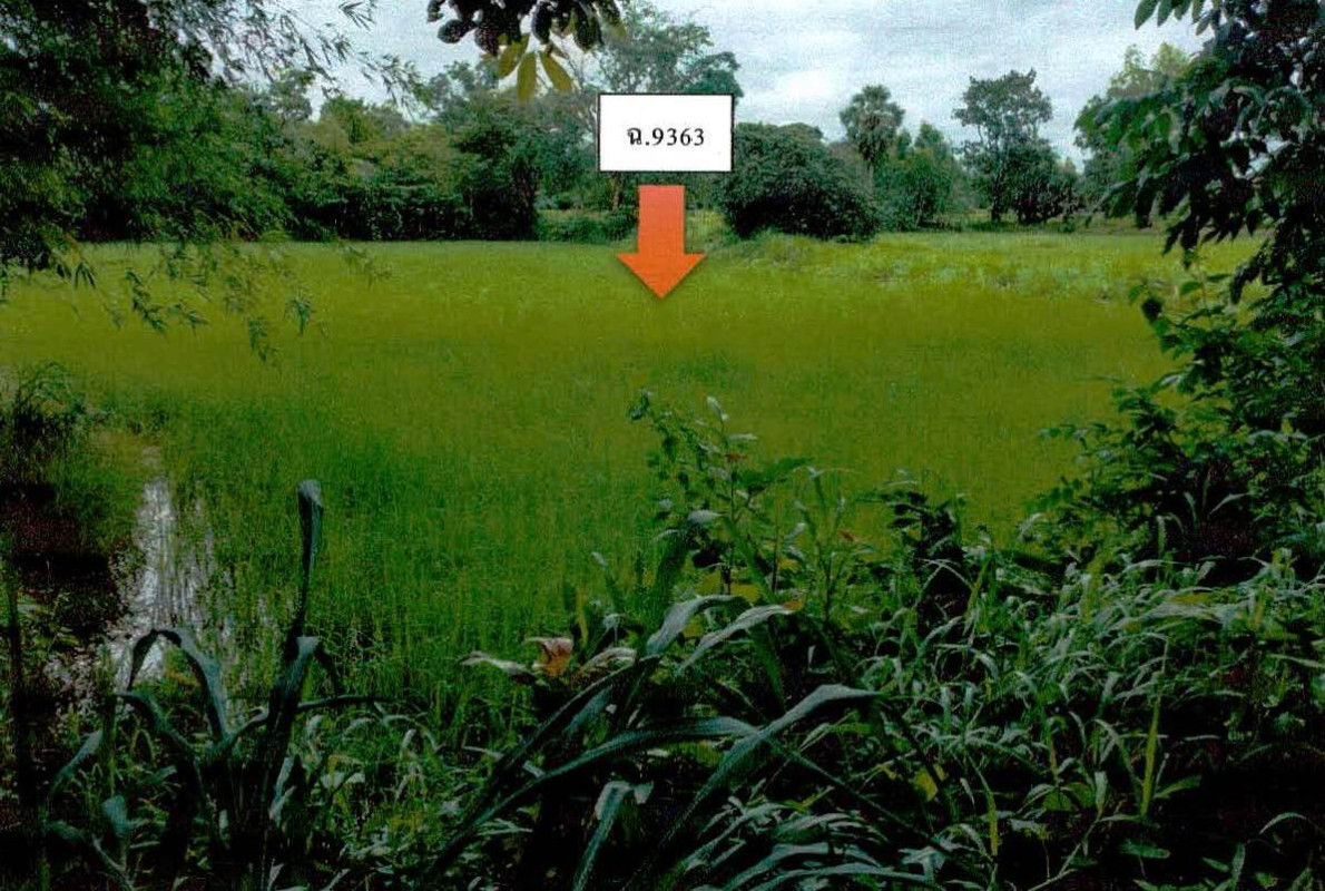 ที่ดินเปล่า อำนาจเจริญ พนา พนา 502740