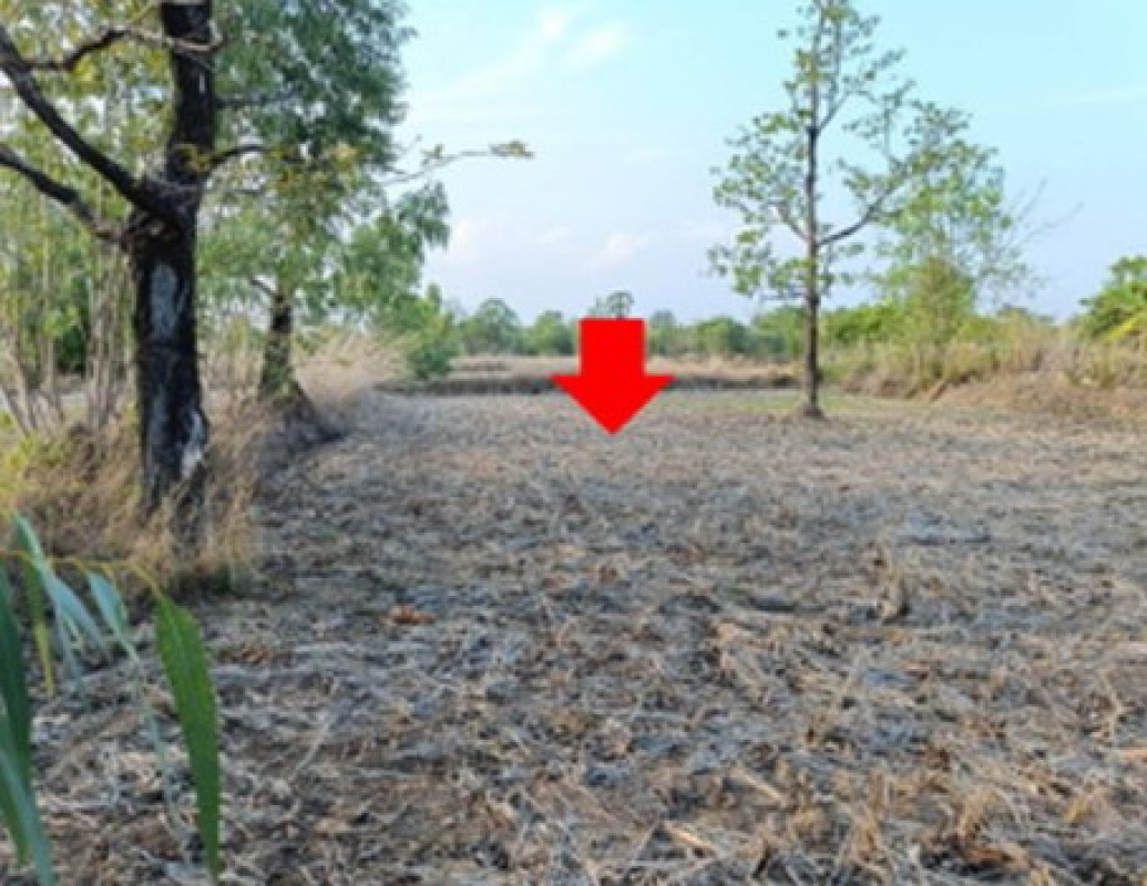 ที่ดินเปล่า นครพนม นาหว้า นางัว 171400