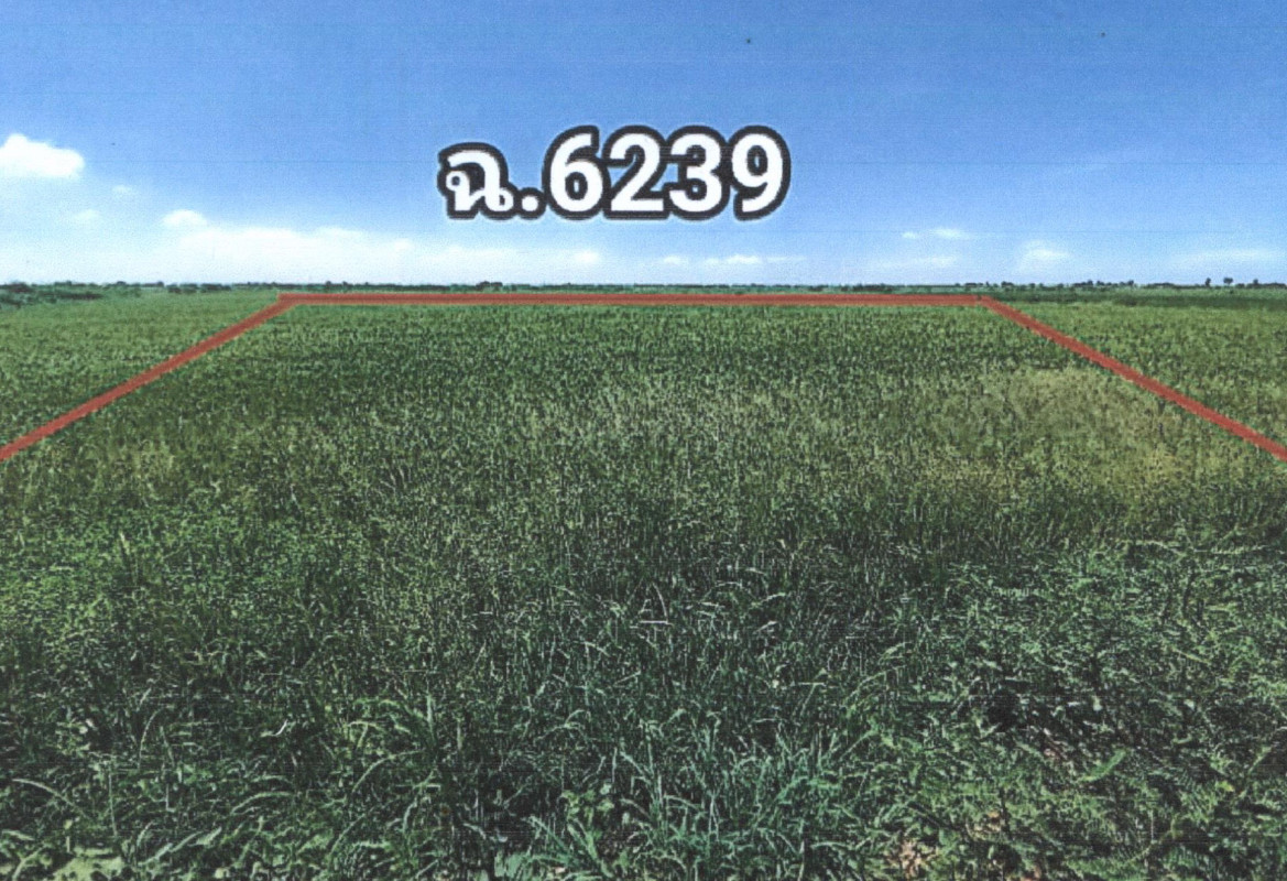 ที่ดินเปล่า อ่างทอง ป่าโมก บางเสด็จ 1841450