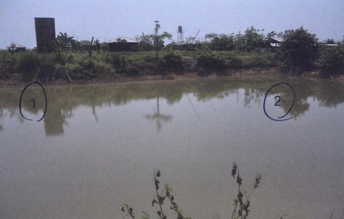ที่ดินเปล่า แพร่ เมืองแพร่ ทุ่งกวาว 183600