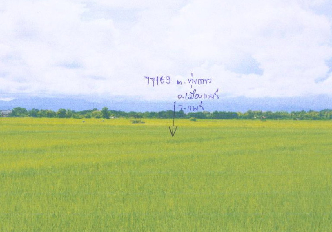 ที่ดินเปล่า แพร่ เมืองแพร่ ทุ่งกวาว 315600