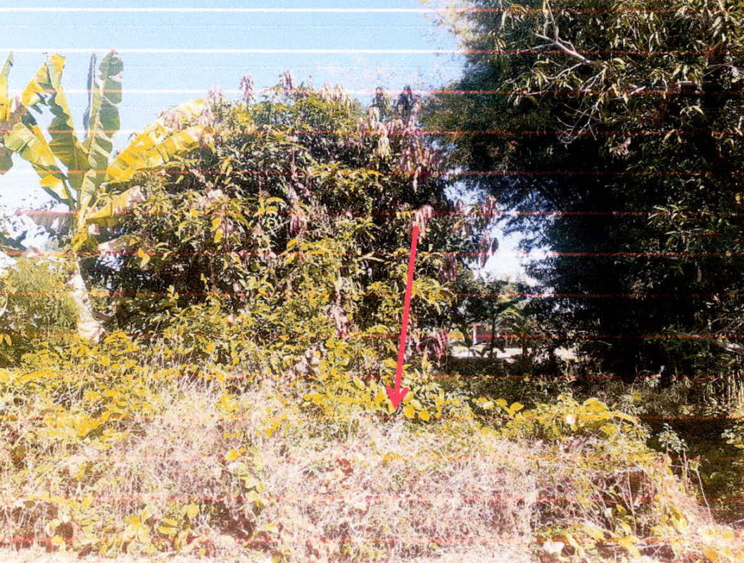 ที่ดินเปล่า ศรีสะเกษ กันทรารมย์ หนองบัว 36240