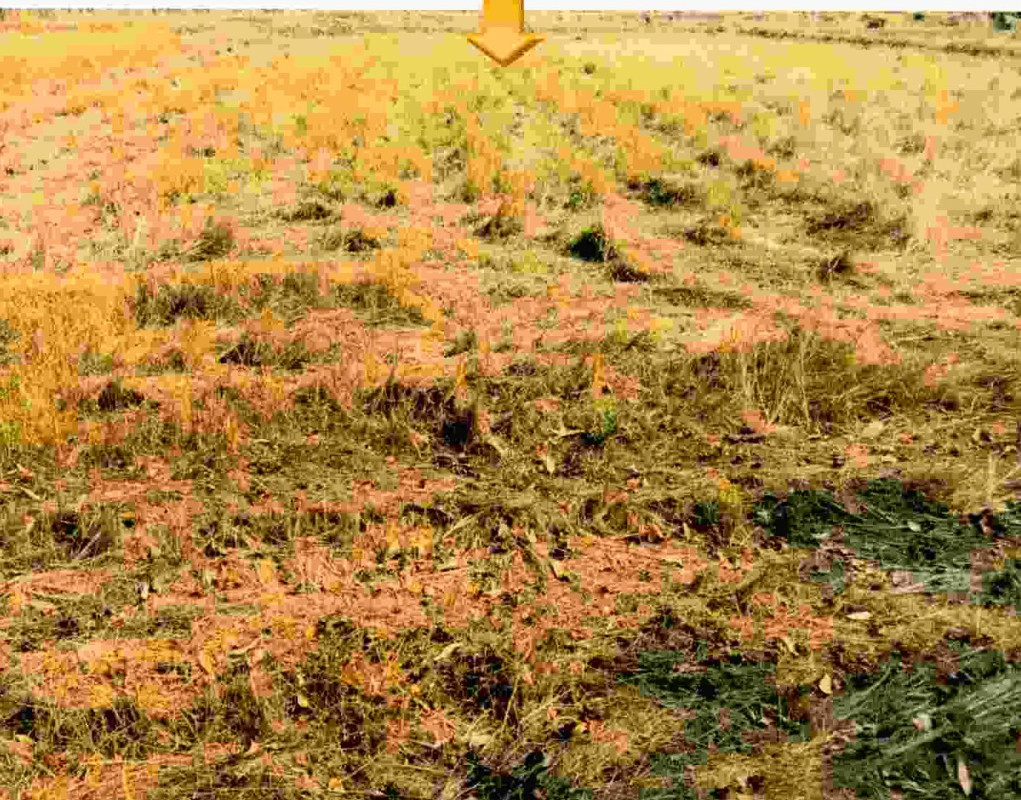 ที่ดินเปล่า หนองคาย เมืองหนองคาย สีกาย 84500