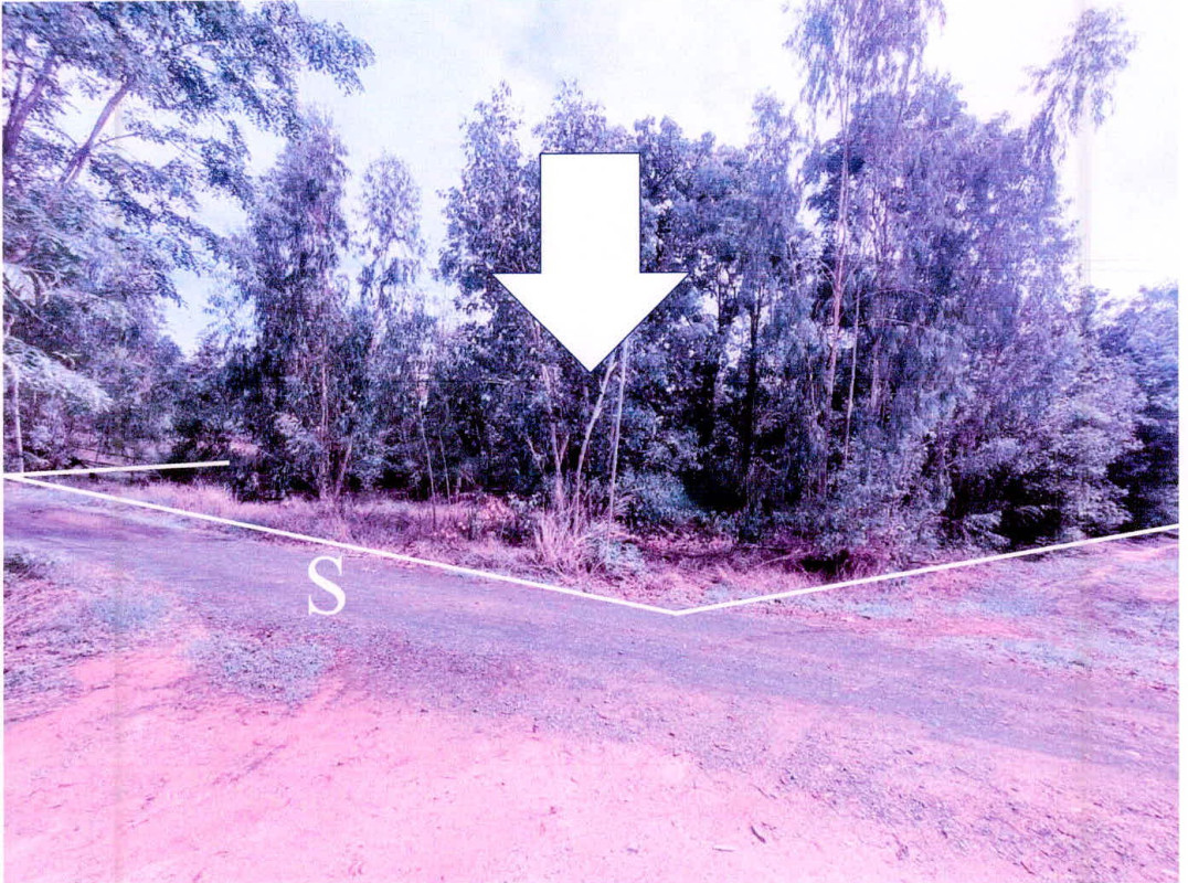 ที่ดินเปล่า ศรีสะเกษ เมืองศรีสะเกษ น้ำคำ 305500