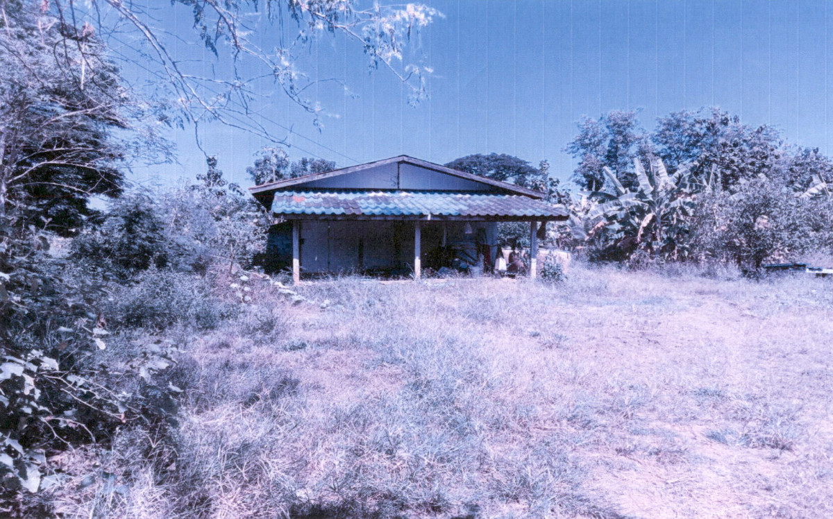 บ้านเดี่ยว เพชรบูรณ์ หนองไผ่ หนองไผ่ 550645