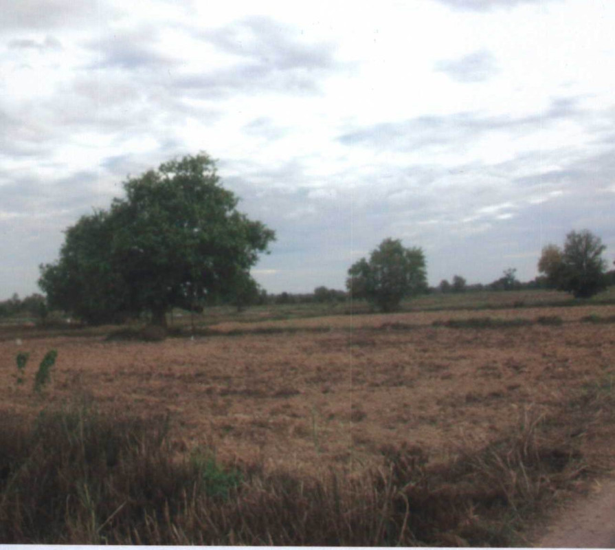 Residential land/lot Ubon Ratchathani Khueang Nai Na Kham Yai 495210