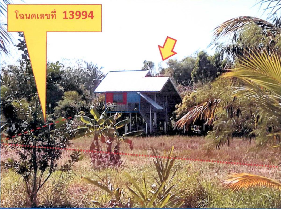 บ้านเดี่ยว นครราชสีมา เฉลิมพระเกียรติ พระพุทธ 329502
