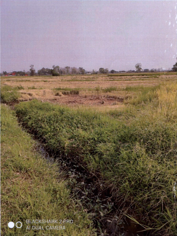 ที่ดินเปล่า แพร่ สูงเม่น เวียงทอง 5500