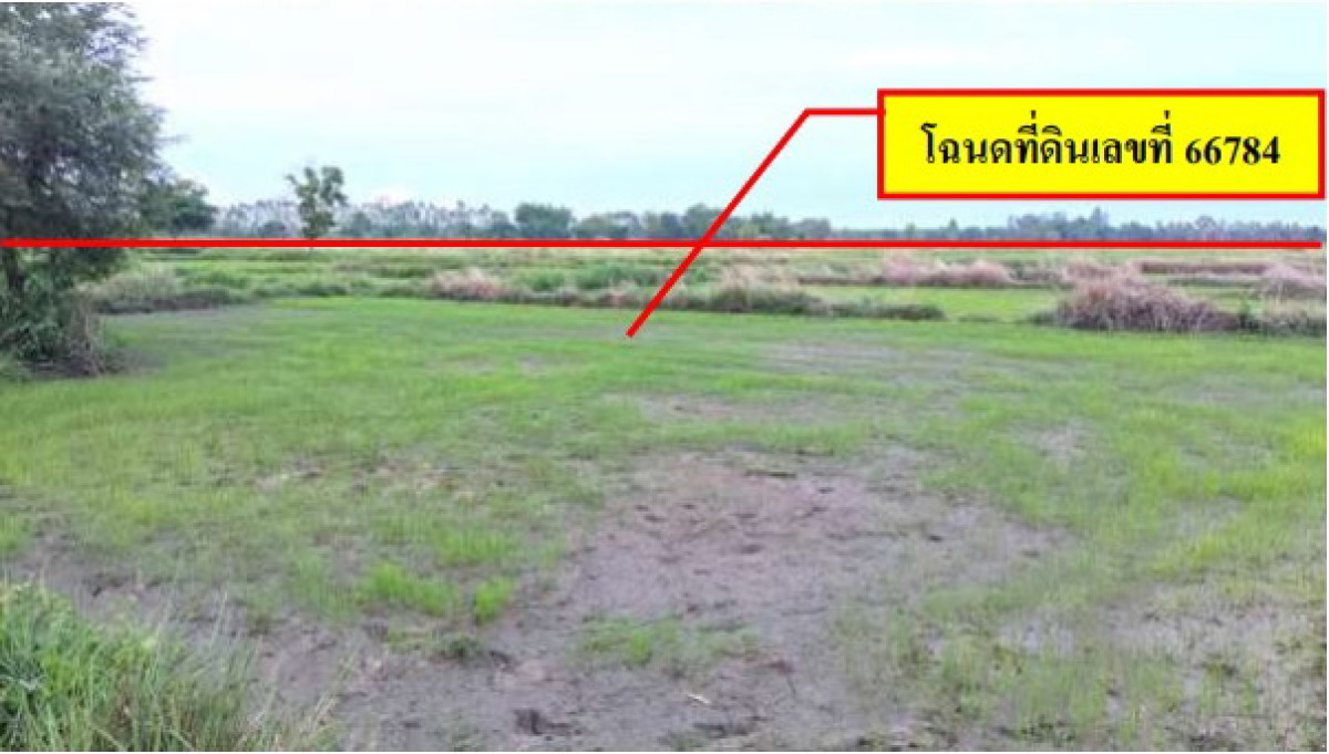 ที่ดินเปล่า สกลนคร วานรนิวาส หนองแวงใต้ 817960