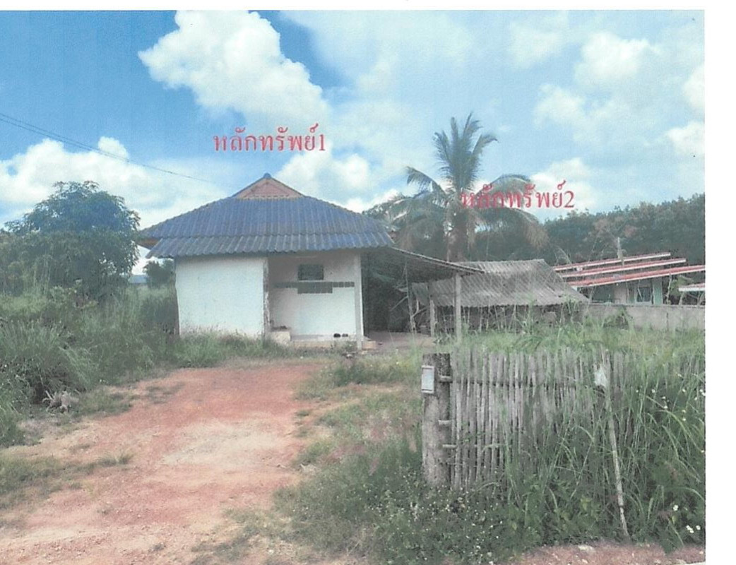 บ้านเดี่ยว พะเยา ภูซาง ป่าสัก 516130