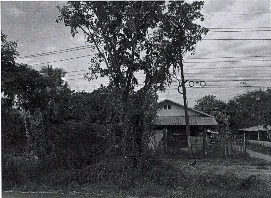 บ้านเดี่ยว ขอนแก่น หนองนาคำ กุดธาตุ 3161980