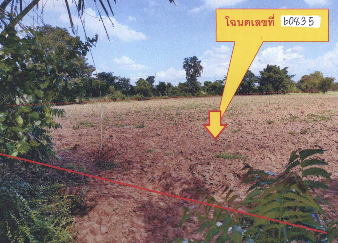 ที่ดินเปล่า นครราชสีมา โนนไทย บัลลังก์ 307400