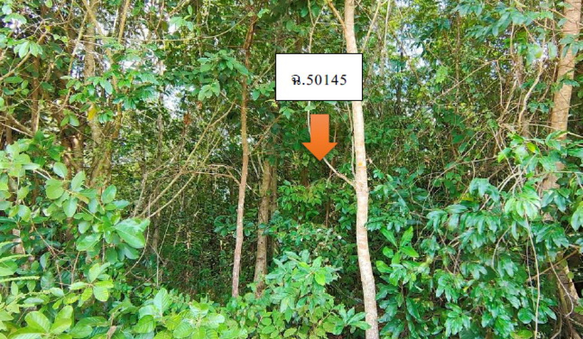 ที่ดินเปล่า อุบลราชธานี เมืองอุบลราชธานี ปะอาว 369200