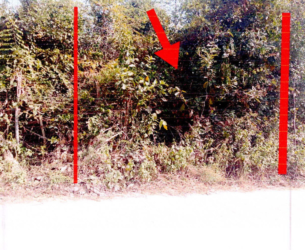Residential land/lot Si Sa Ket Rasi Salai Phai 39125