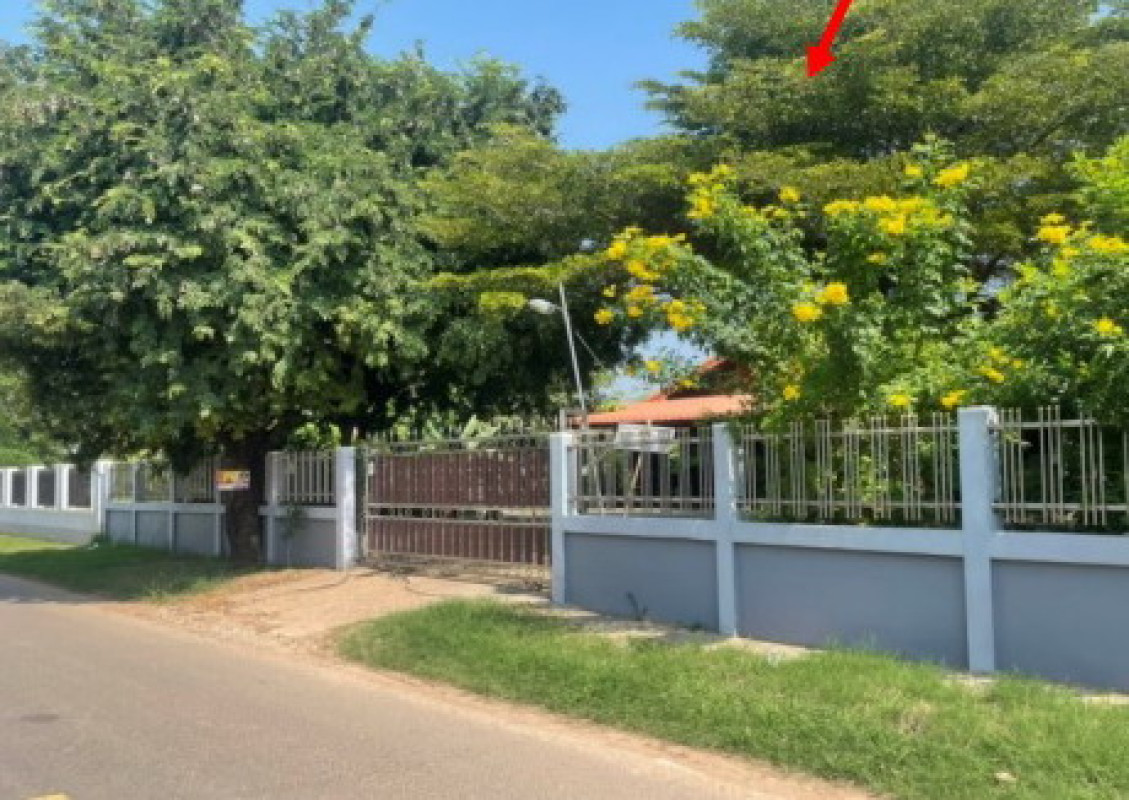 บ้านเดี่ยว ร้อยเอ็ด จังหาร ม่วงลาด 1765500
