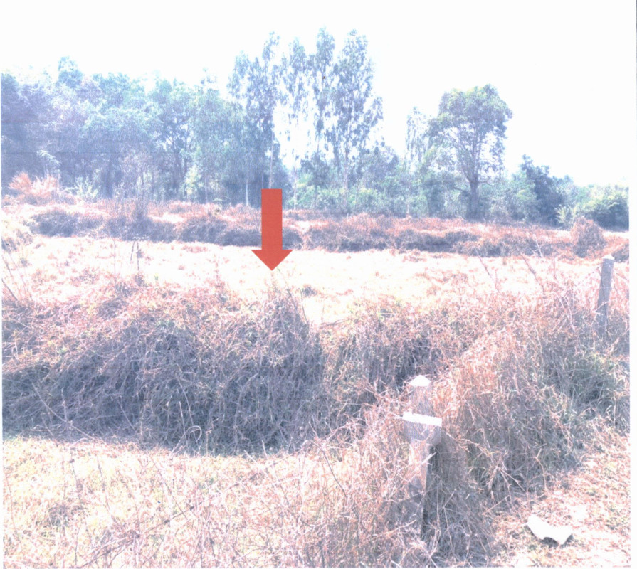 Residential land/lot Ubon Ratchathani Sawang Wirawong Tha Chang 62500