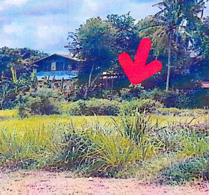 Residential land/lot Si Sa Ket Uthumphon Phisai Hua Chang 304000