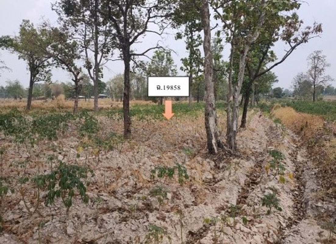 ที่ดินเปล่า ศรีสะเกษ โนนคูณ หนองกุง 92820