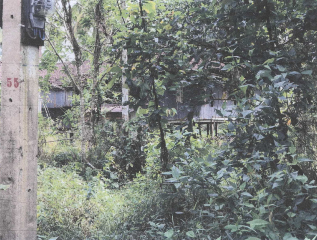 บ้านเดี่ยว ปัตตานี ยะหริ่ง ตาลีอายร์ 100375