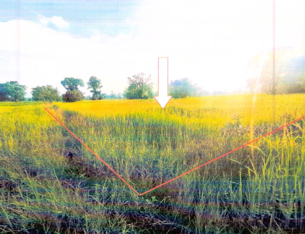 ที่ดินเปล่า ศรีสะเกษ วังหิน ดวนใหญ่ 182130