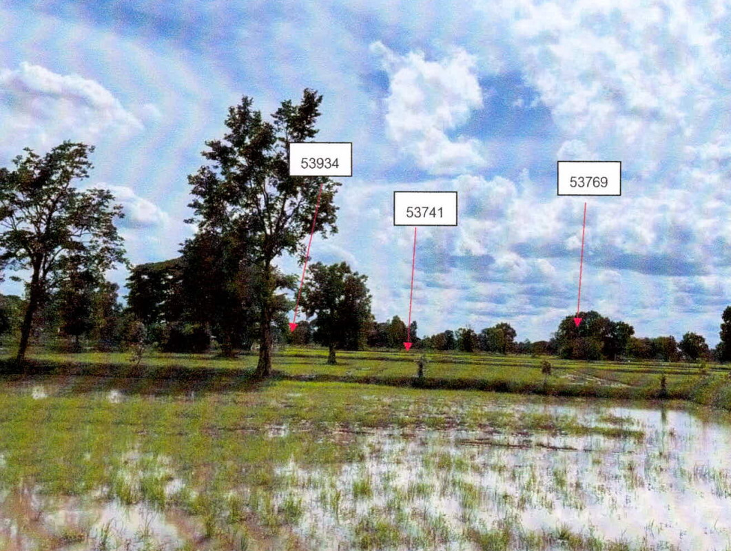 ที่ดินเปล่า ศรีสะเกษ เมืองศรีสะเกษ จาน 588960
