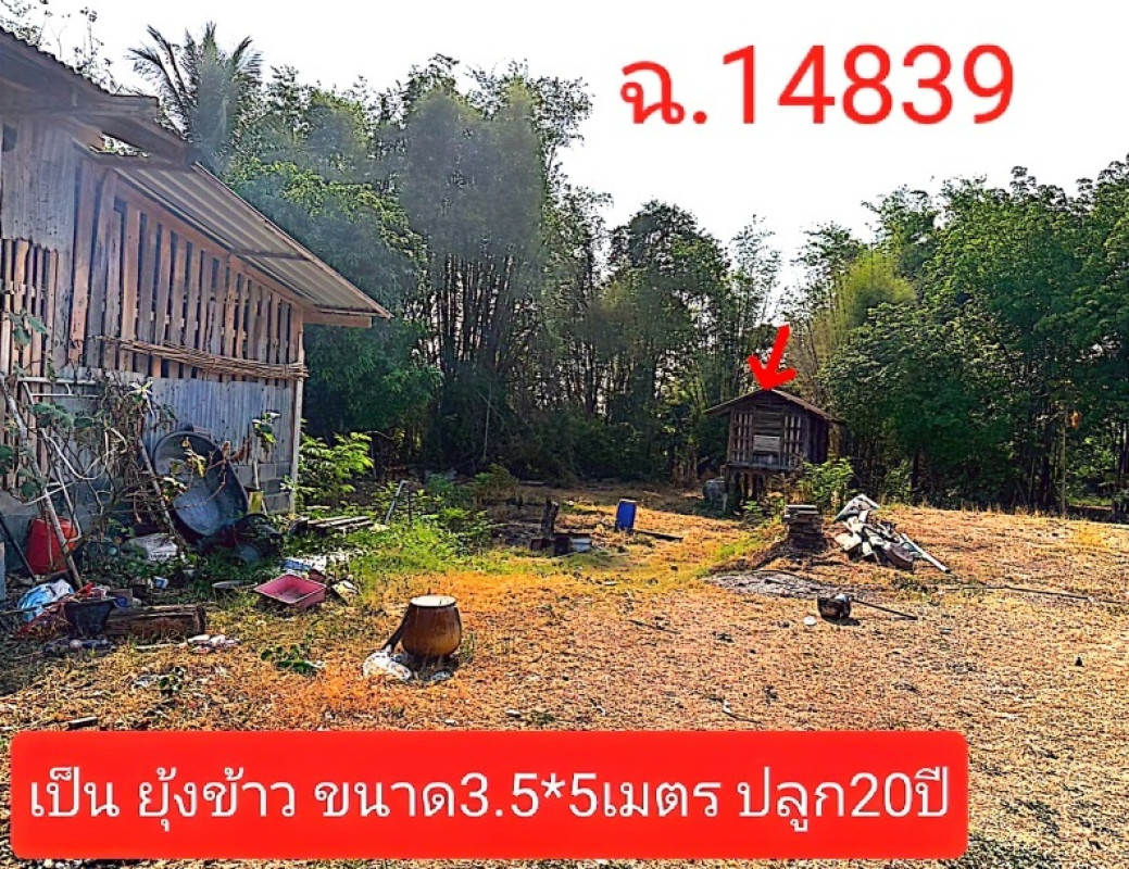 บ้านเดี่ยว กาฬสินธุ์ สหัสขันธ์ นามะเขือ 158500