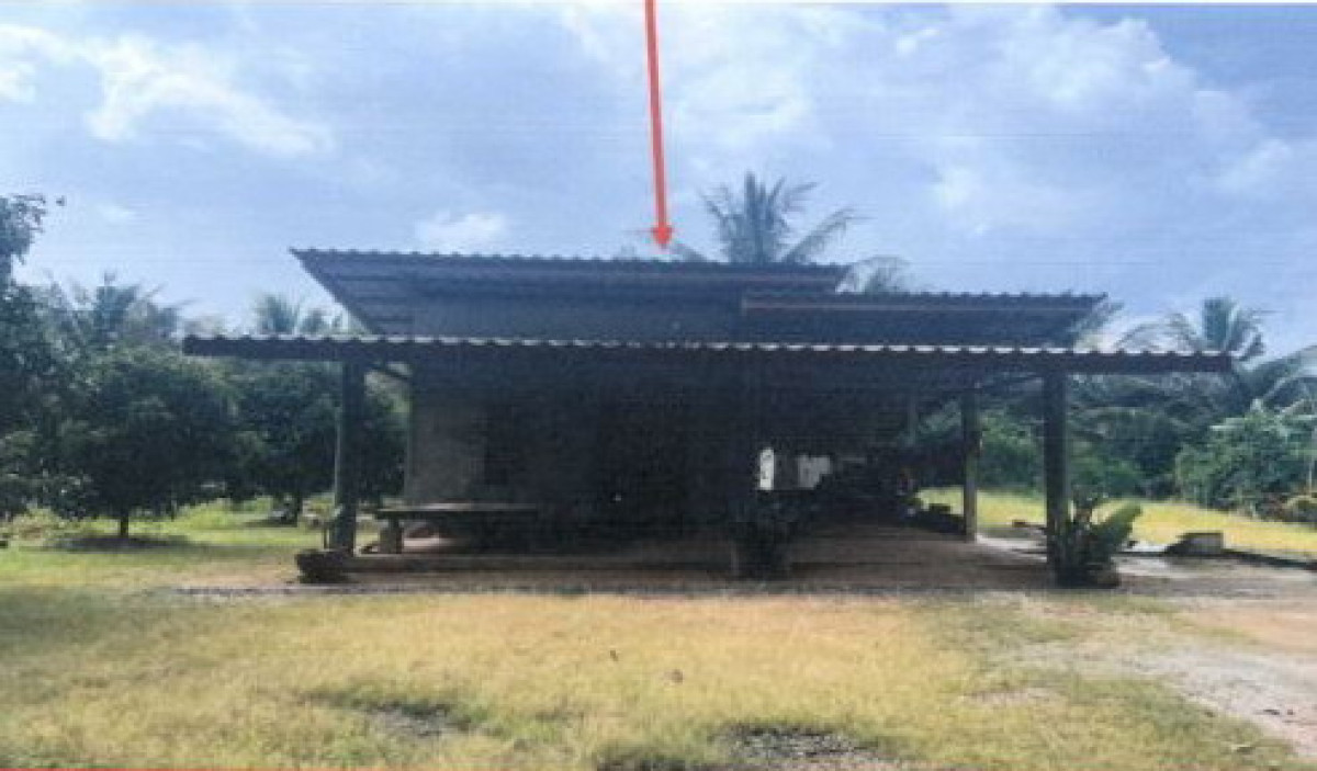 บ้านเดี่ยว นครศรีธรรมราช ท่าศาลา ท่าขึ้น 705570