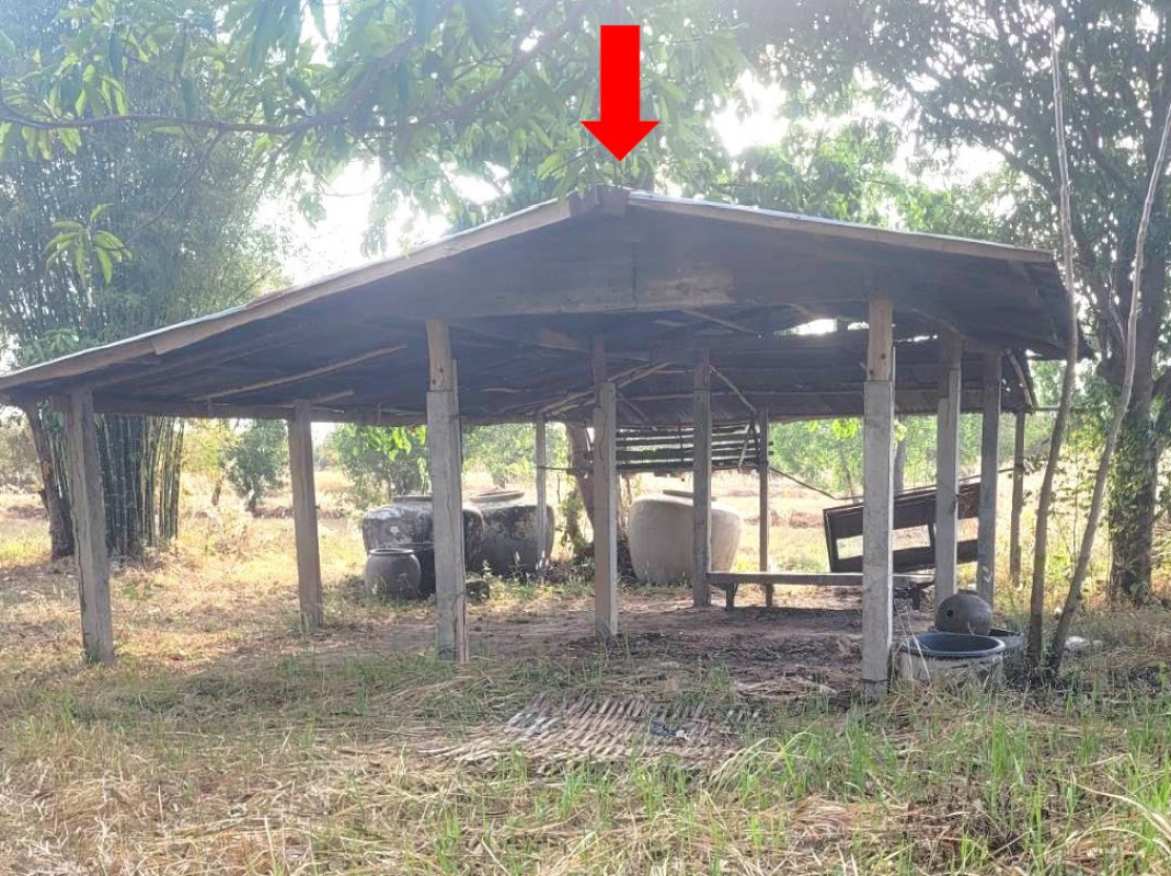 บ้านเดี่ยว อุบลราชธานี ม่วงสามสิบ ยางโยภาพ 474760