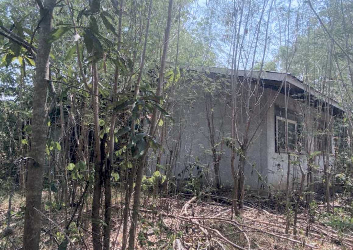 Single house Nakhon Ratchasima Pak Thong Chai Thong Chai Nuea 393900